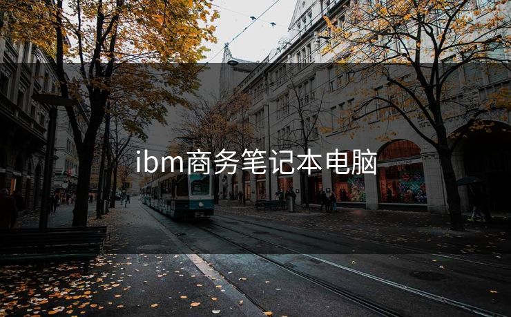 ibm商务笔记本电脑