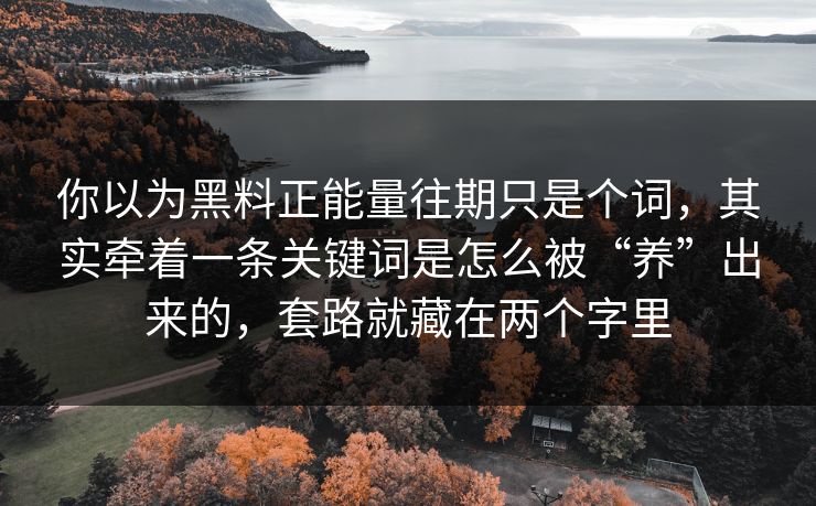 你以为黑料正能量往期只是个词，其实牵着一条关键词是怎么被“养”出来的，套路就藏在两个字里
